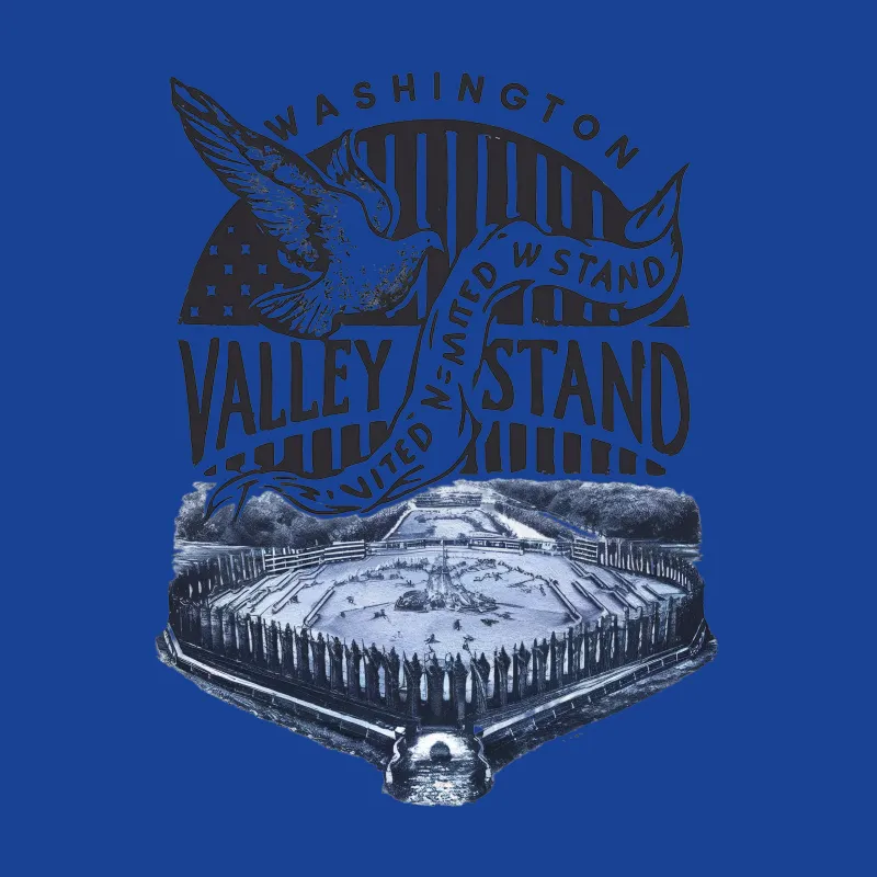 Washington Valley United We Stand Patriotic Eagle Graphic T-Shirt, American Flag Tee, Unisex Male T-Shirt