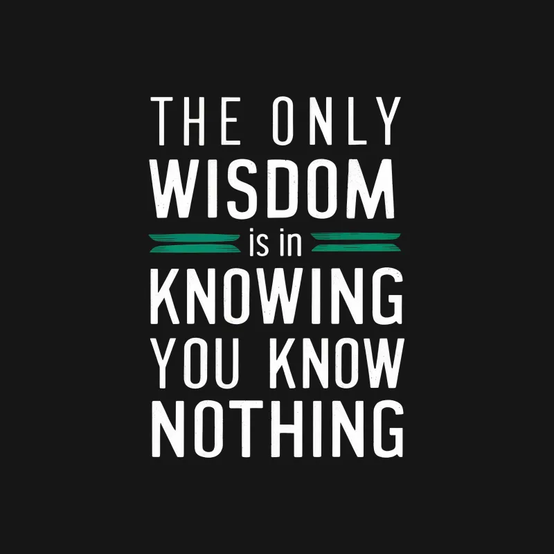 Inspirational Quote T-Shirt - The Only Wisdom Is In Knowing You Know Nothing Tee Male T-Shirt