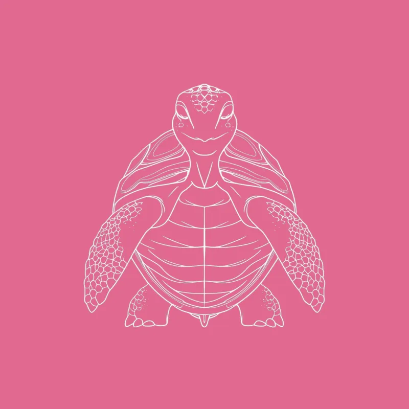 Minimalist Turtle Line Art T-Shirt, Unisex White Shirt with Simple Turtle Design Female T-Shirt