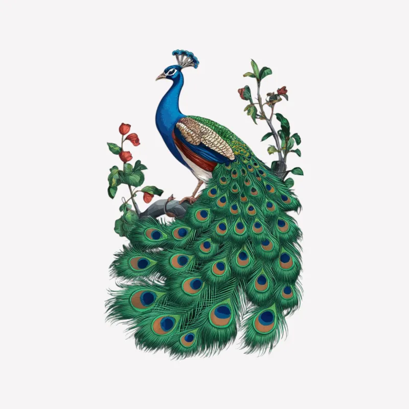 Vibrant Peacock T-Shirt, Colorful Bird and Nature Illustration, Unisex Graphic Tee, Gift for Bird Lovers Male T-Shirt