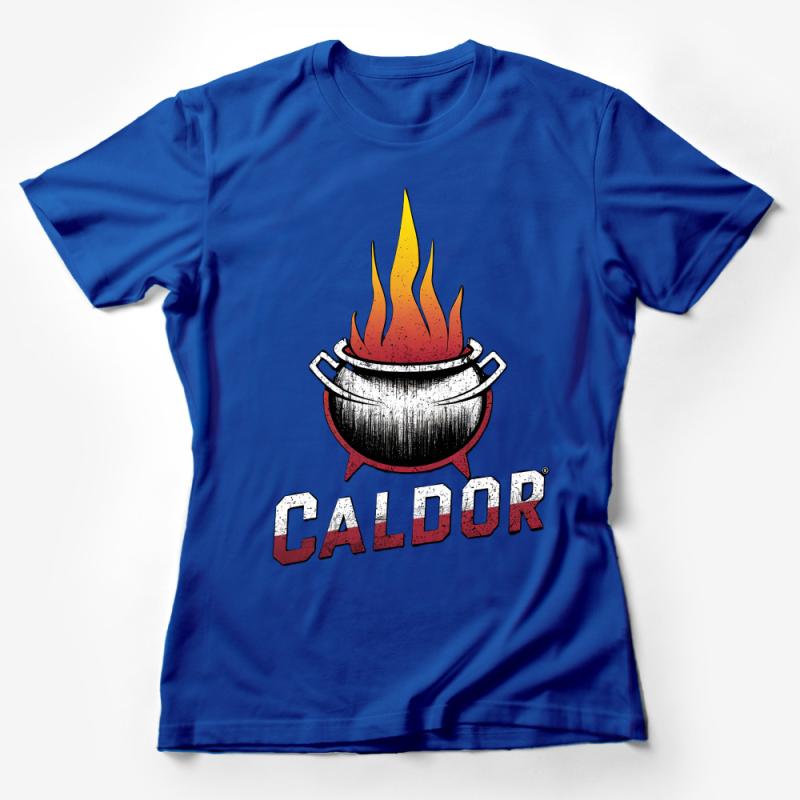 Vintage Cauldron Fire Graphic T-Shirt, Retro Witchy Caldor Tee, Unisex Modern Witch Apparel Female T-Shirt