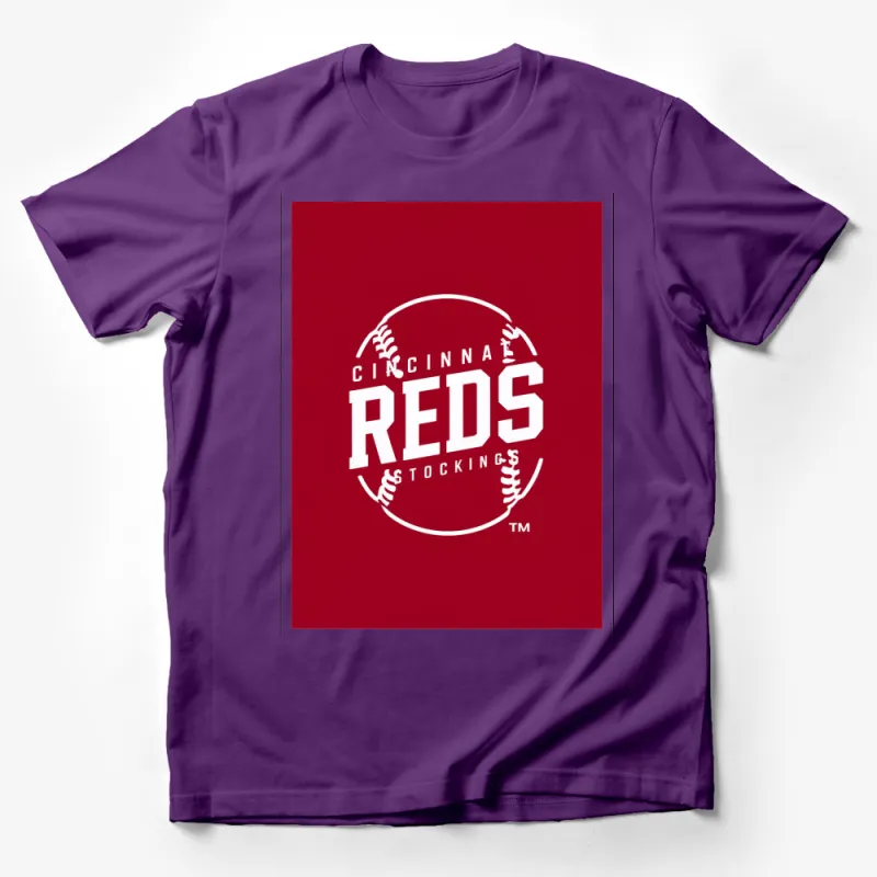 Cincinnati Reds Stockings Vintage Logo T-Shirt, Classic Baseball Team Apparel, Retro Sports Fan Gift Male T-Shirt