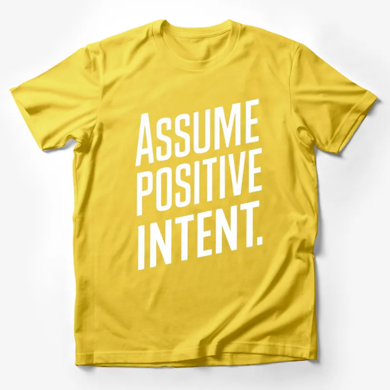 Assume Positive Intent T-Shirt, Inspirational Quote Tee, Black and White Minimalist Top, Unisex Graphic Shirt Male T-Shirt