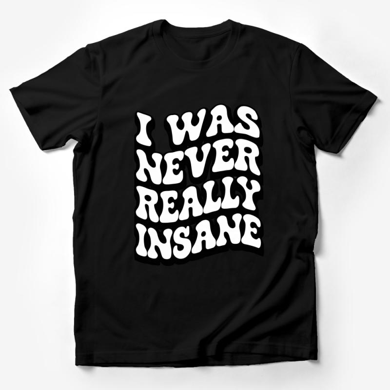 Bold Statement T-Shirt, I Was Never Really Insane Quote Tee, Black and White Typography, Unisex Graphic Shirt Male T-Shirt